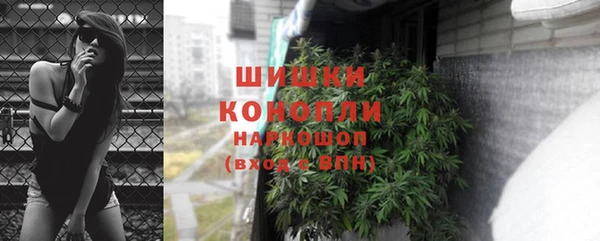 mdpv Богданович