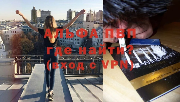 mdpv Богданович